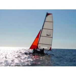 Mainsail Hobie 14