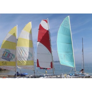 Mainsail compatible New Cat 12