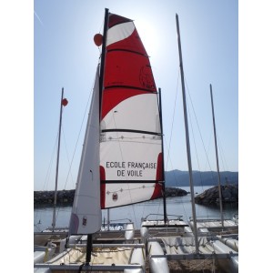 Mainsail compatible New Cat 12