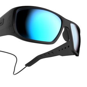 GUST EVO POLARISIERT