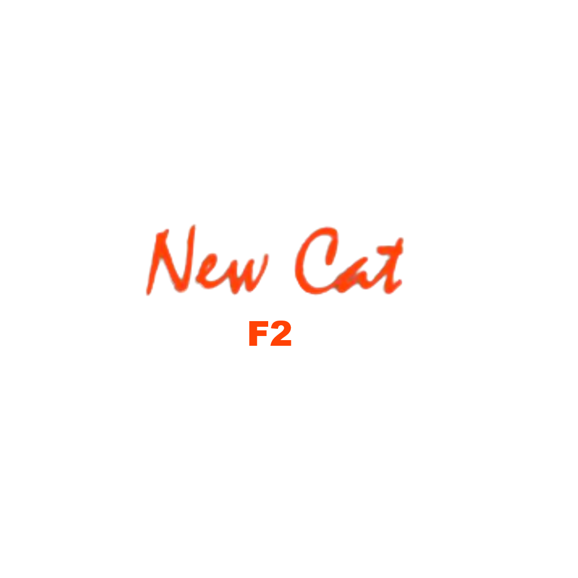 New Cat F2