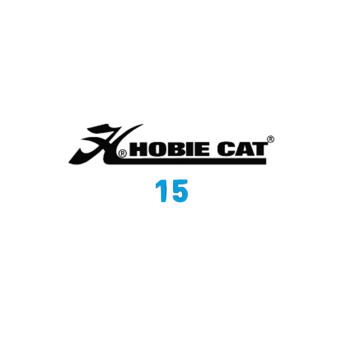 Hobie cat 15