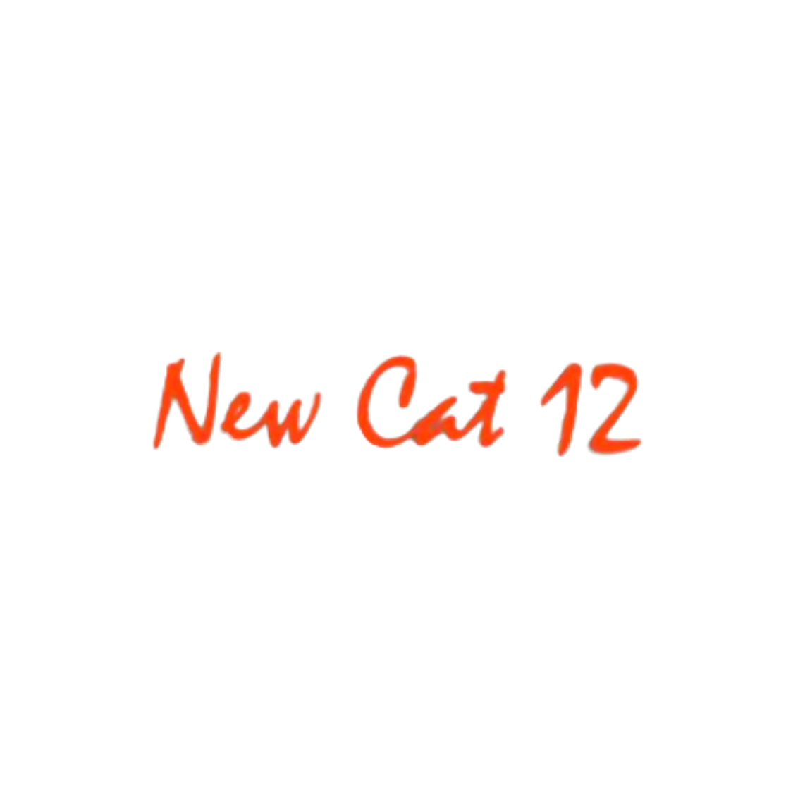 New Cat 12 Racing